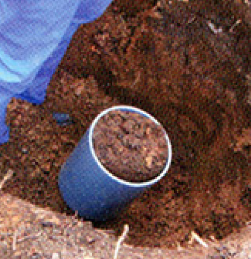 ブロックサンプリング